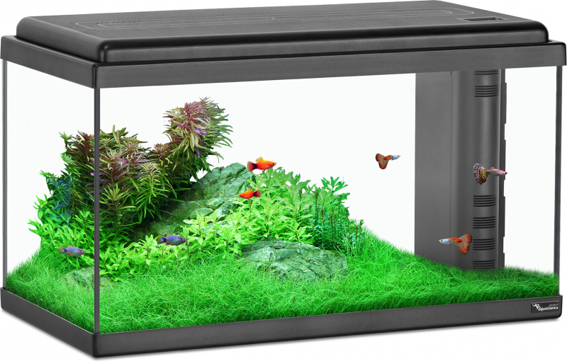 Aquatlantis Aquarium 60 LED BIO - Différentes couleurs