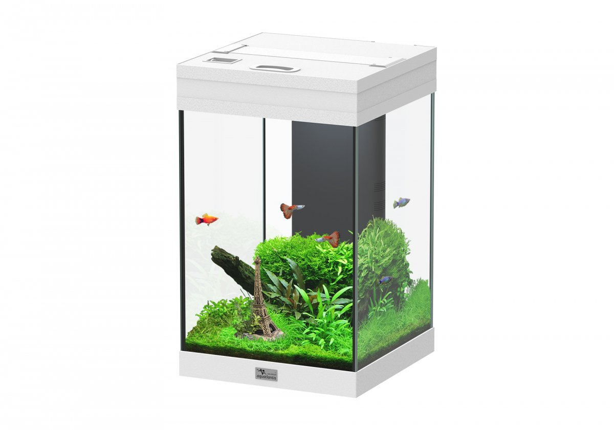 Mobile per acquario IdroMax 72 - 63x35 cm - bianco