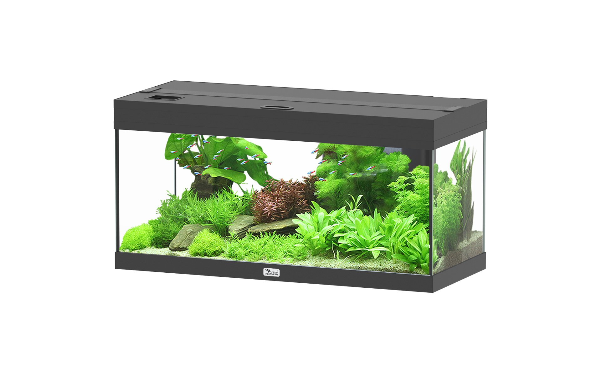 Aquatlantis Aquarium Prestige 80 - verschieden Farben