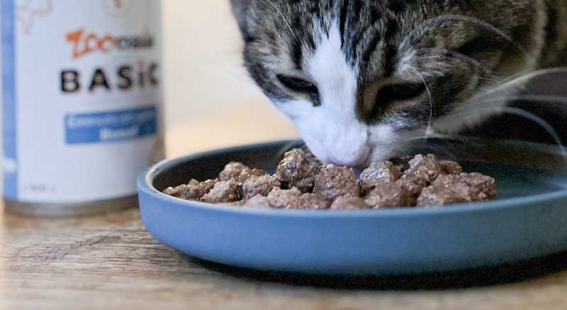 Un gato come de la comida húmeda de Zoomalia Basic Bocaditos de carne en gelatina