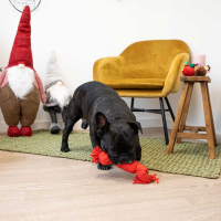 Coffret 6 surprises de Noël pour chien Zolia