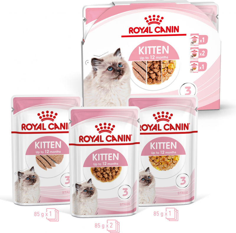 Multi Pack Royal Canin Kitten - 4x85g