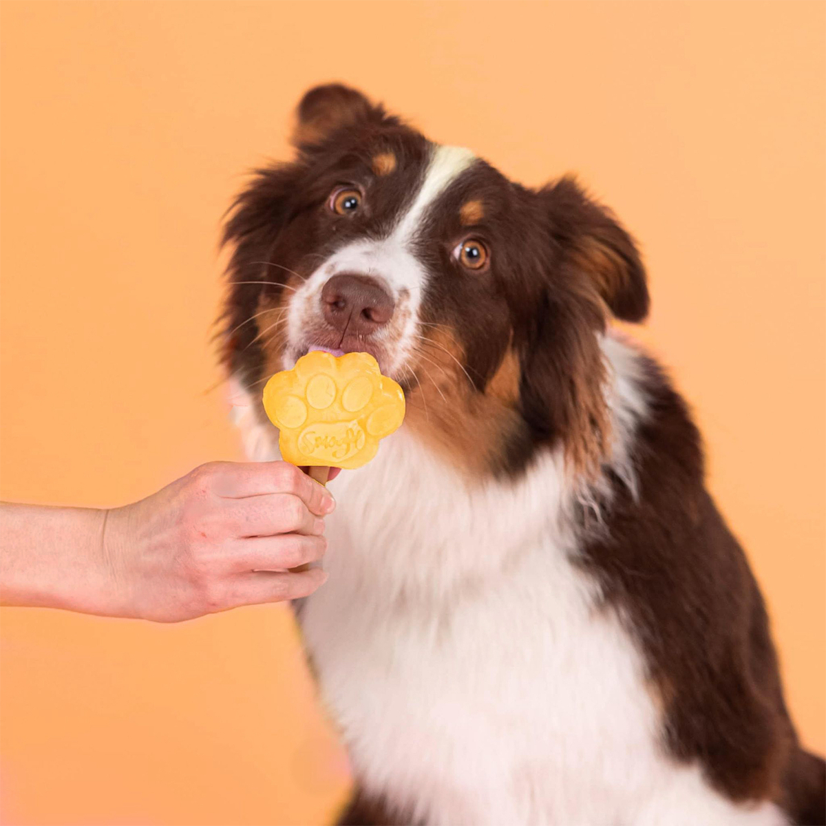 Smoofl Mengsel voor ijs voor volwassen honden - Mango