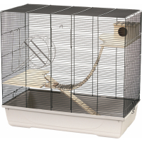 Cages  Rat domestique