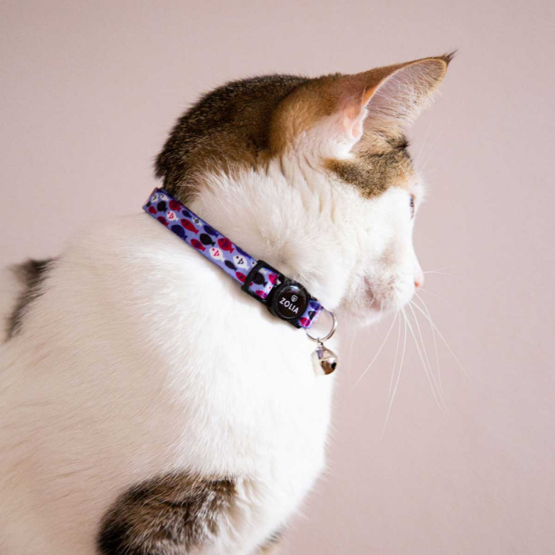 Collar para gatos Zigzag Zolia Peces - 2 tallas - 2 colores