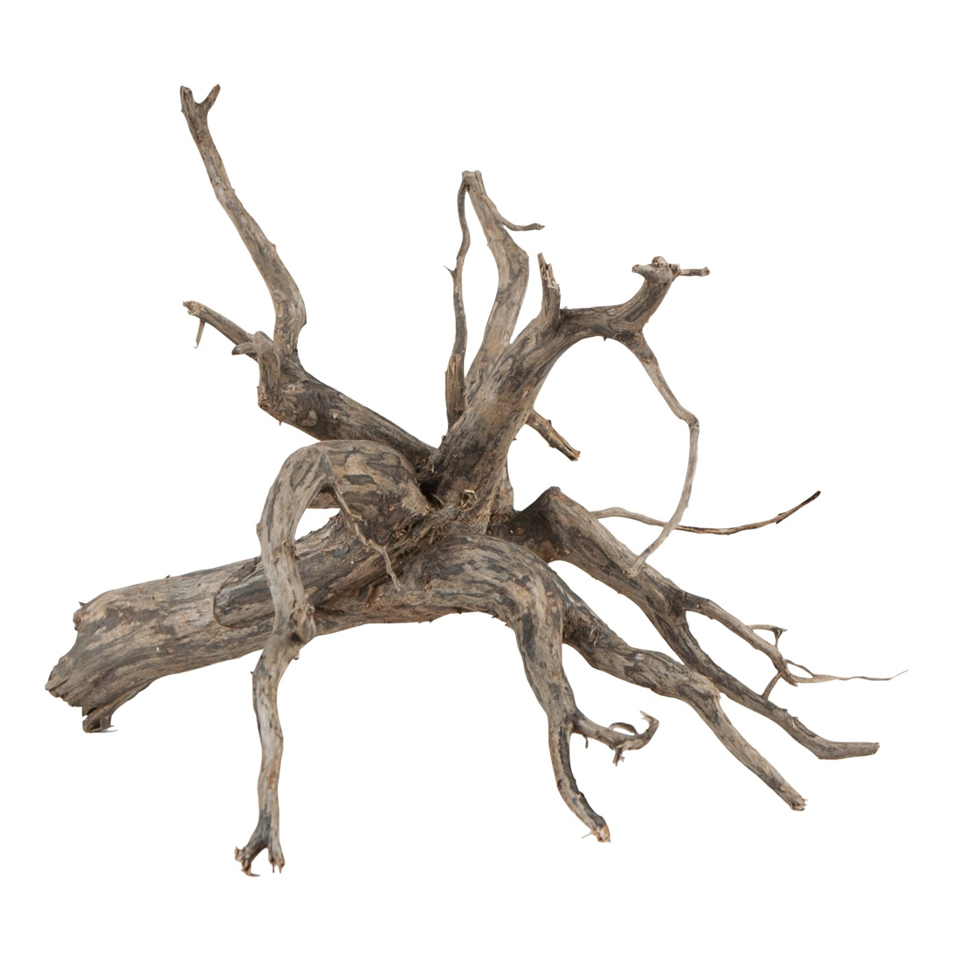 Sera Scaper Root Natürliche Wurzel für Aquascaping