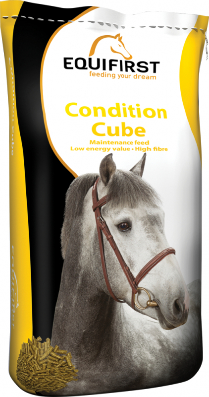 Equifirst Condition Cube granulé d'entretien pour chevaux et poneys
