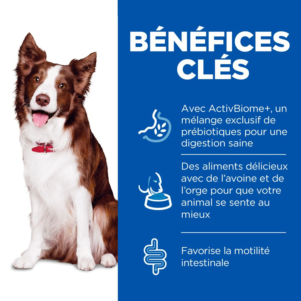 Hill's Science Plan Perfect Digestion Latas para perros