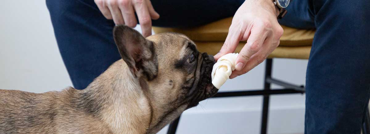 bannière friandises dailys os noué pour chien