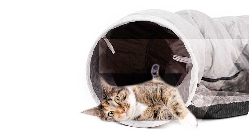 Un gato descansando en el túnel con cama para gatos Zolia Mancha