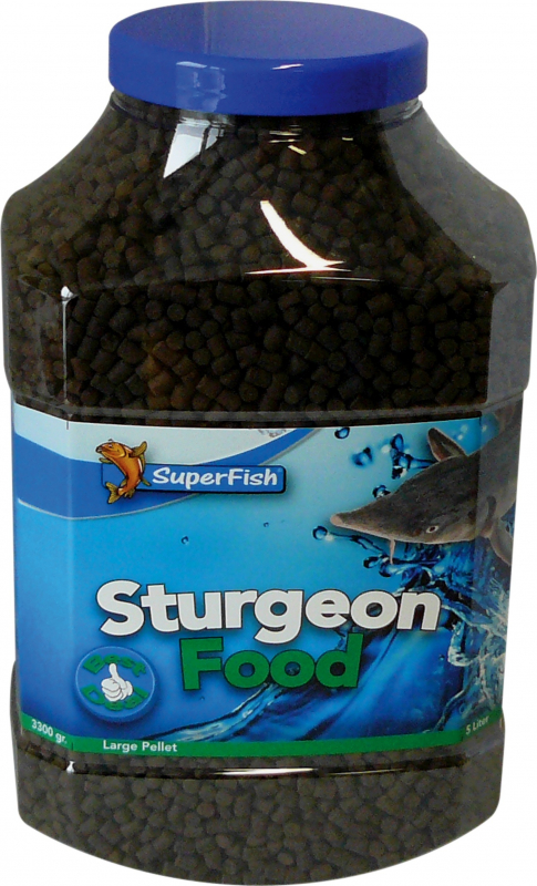 Superfish Sturgeon Food Alimentation pour esturgeon