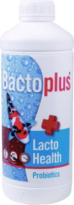 Bactoplus Lacto Health probiotique pour la santé des poissons