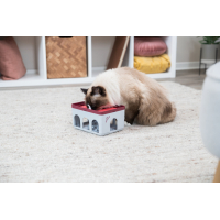 Cat Activity Rod Box