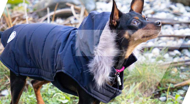Abrigo impermeable para perros azul marino zolia