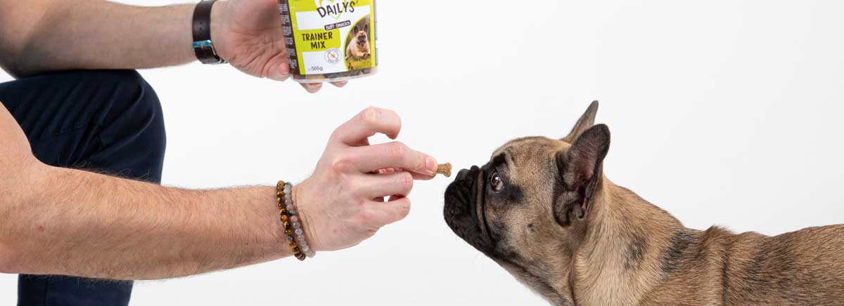 Los premios sin gluten para perros Trainer Mix DAILYS