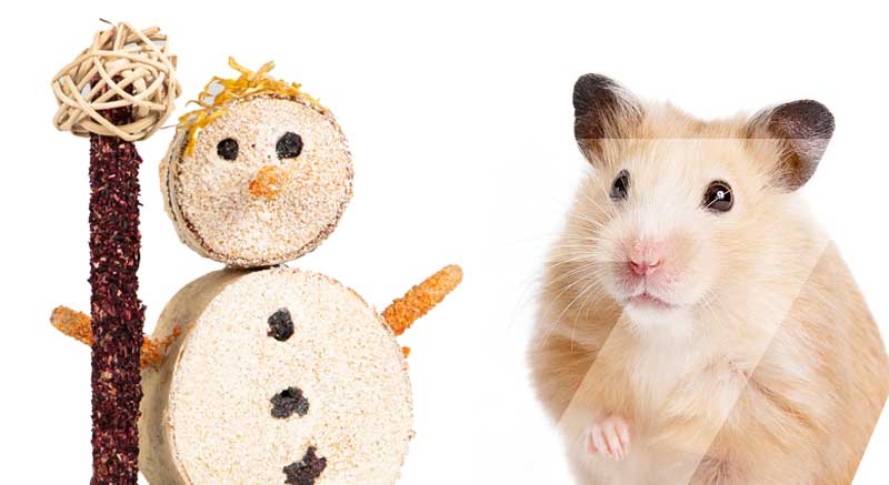 muñeco de nieve comestible para roedores zolia