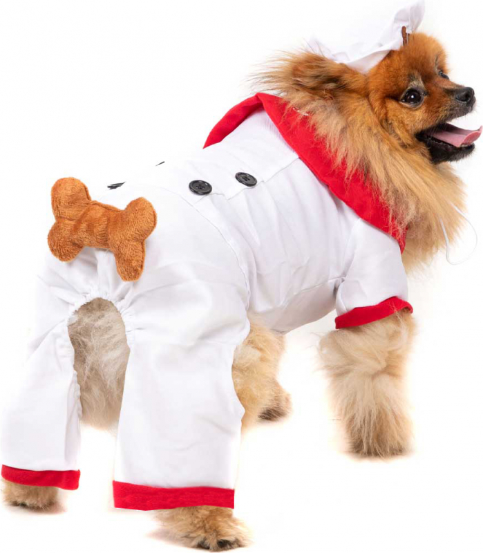Costume da chef per cane Zolia