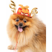 Weihnachtsmann Rentier Weihnachtsmütze Hundekostüm Zolia