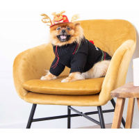 Weihnachtsmann Rentier Weihnachtsmütze Hundekostüm Zolia