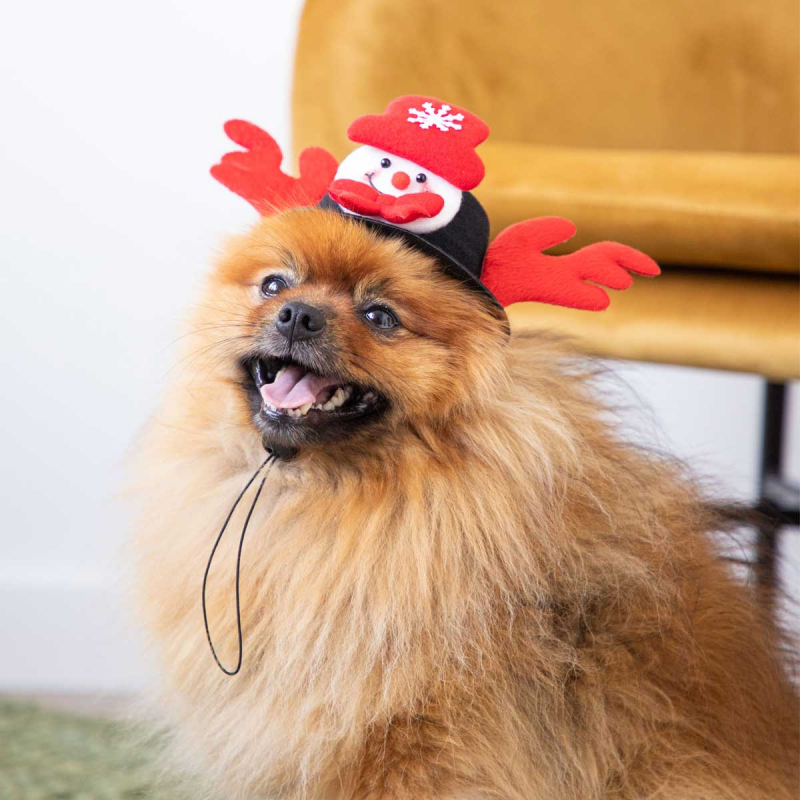 Schneemann Weihnachtsmütze Hundekostüm Zolia