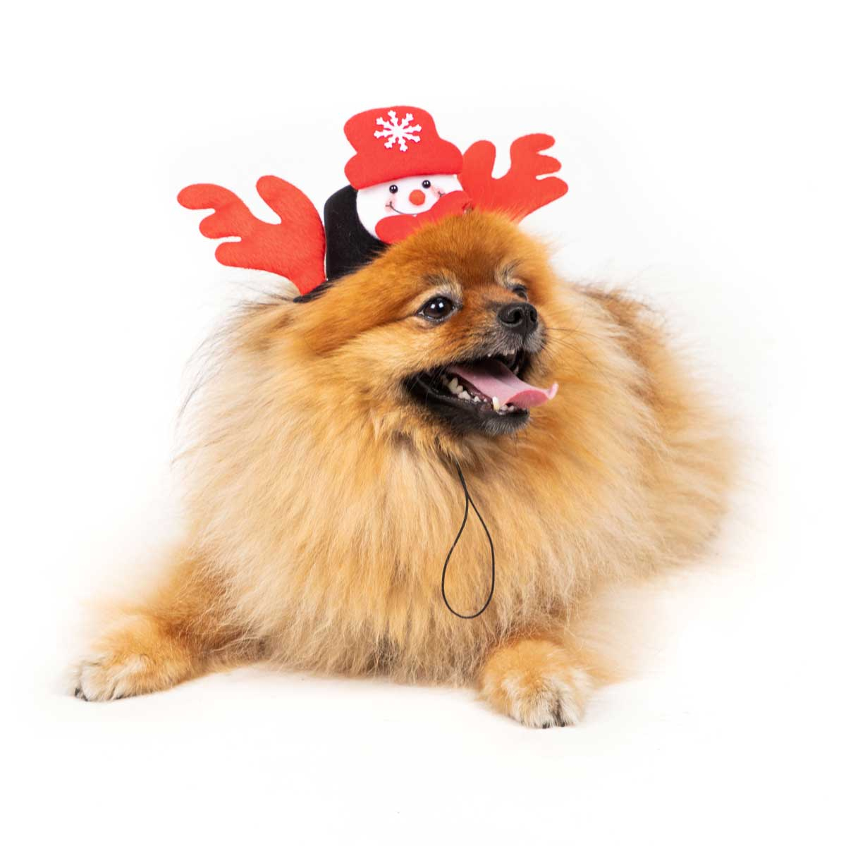 Déguisement pour chien chapeau de Noël bonhomme de neige Zolia