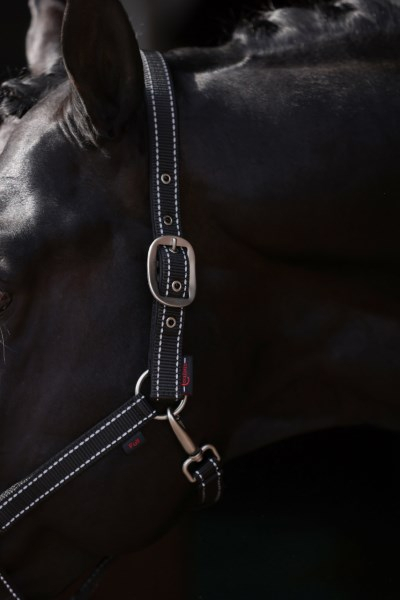 Reflecterende halster voor paarden, black/silver