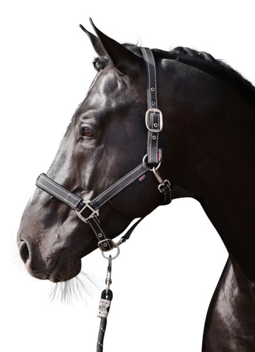 Licol Reflective black / silver pour cheval