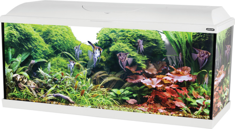 Kit aquarium ISEO LED 100cm 120L - Blanc