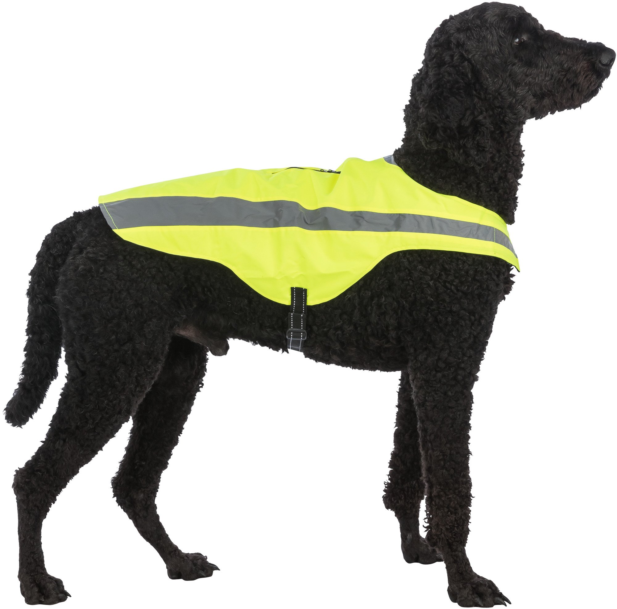 Reflektierende gelbe Sicherheitsjacke für Hunde