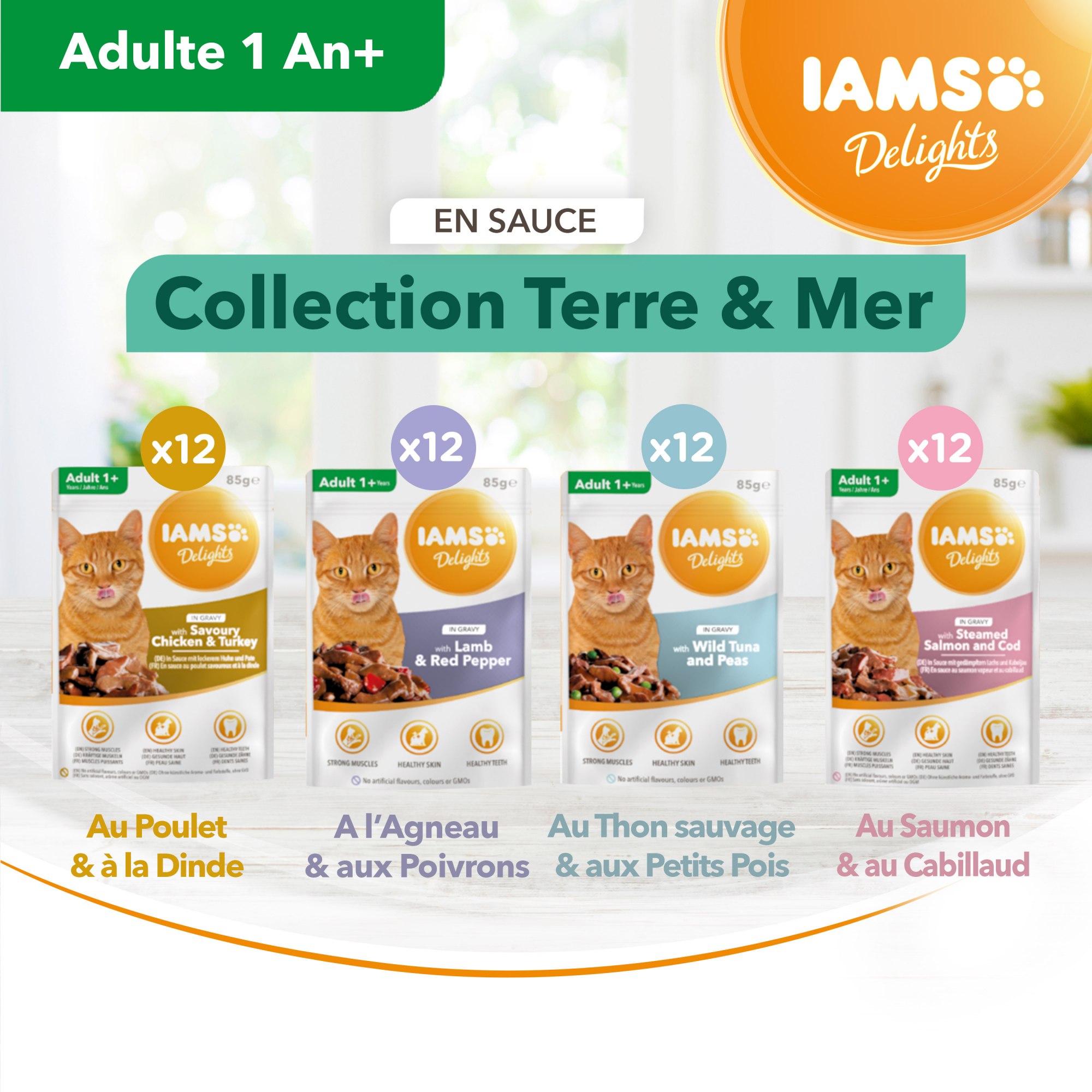 IAMS pâtée en sauce Collection Terre & Mer pour chat adulte