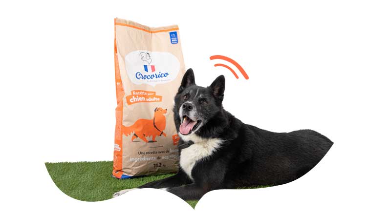 Un perro con una bolsa de pienso crocorico, marca exclusiva de zoomalia