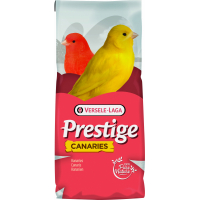 Prestige Canaris Elevage sans Navette Extra 