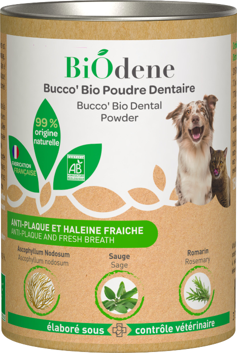 BIODENE Bucco Bio Zahnpulver für Hunde und Katzen