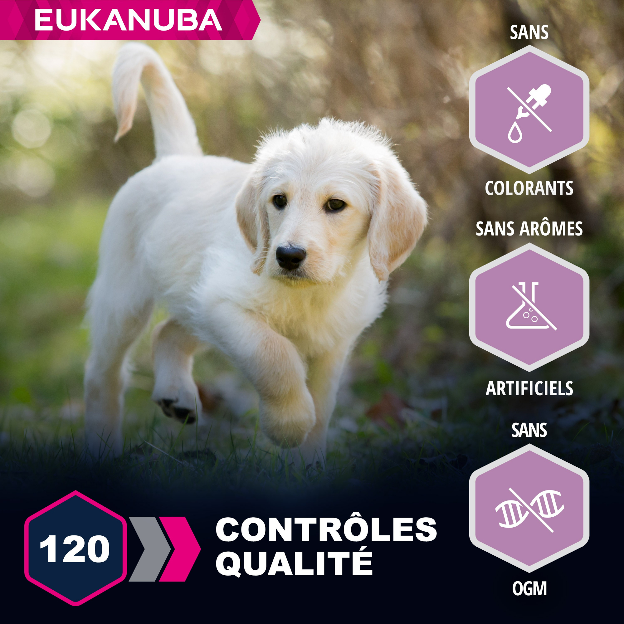 Eukanuba Puppy Agneau & Riz pour chiot de grande race
