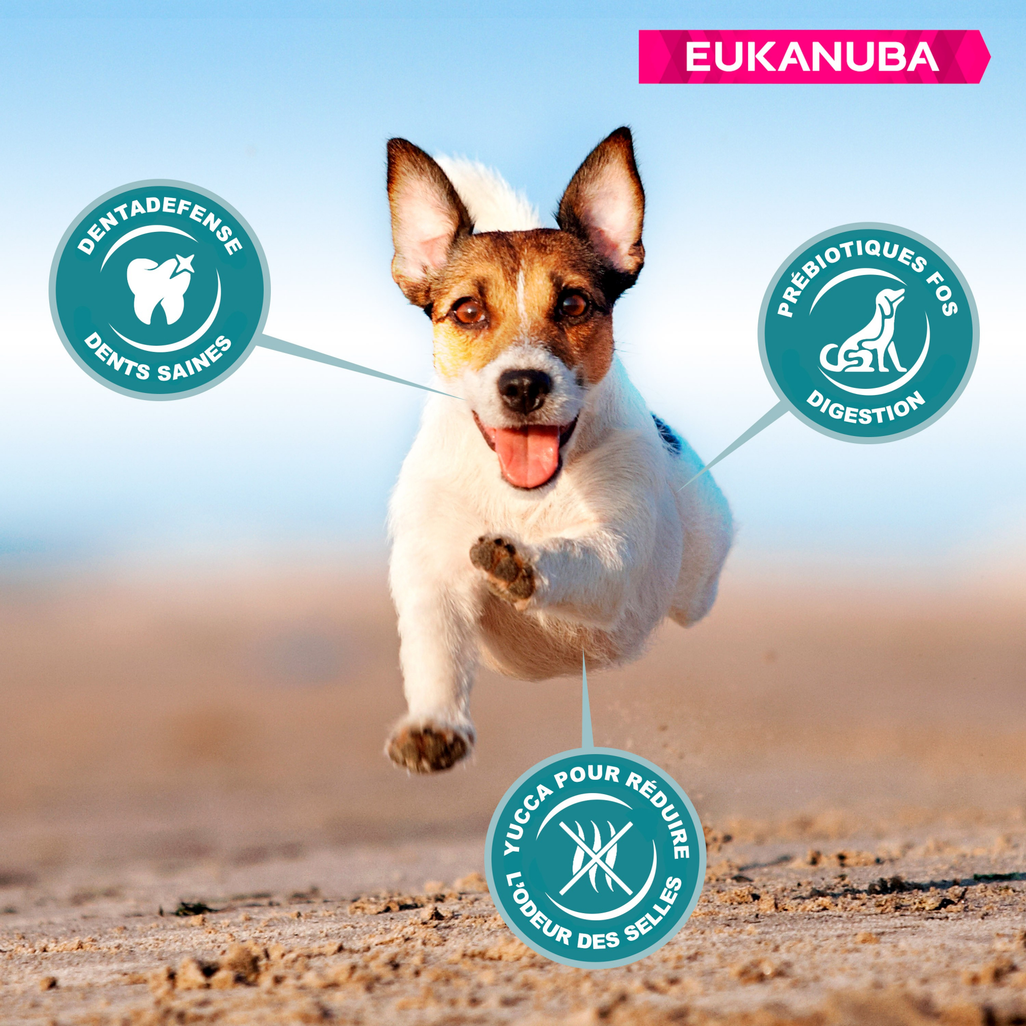 Eukanuba Active Adult Small Breed pour chien de petite taille