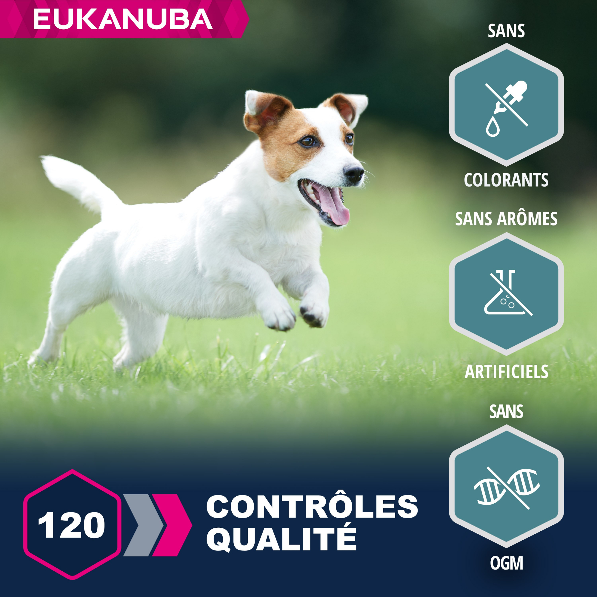 Eukanuba Adult Small & Medium Breed agneau et riz pour chien adulte de petites et moyennes races