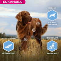Eukanuba Daily Care Adult Weight Control pour chien adulte de grande taille