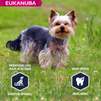 ▷ 🥇 🥈 🥉 Pienso Advance, Ultima y Eukanuba para Yorkshire Terrier
