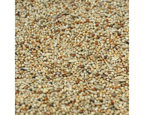 Mezcla de semillas para periquitos