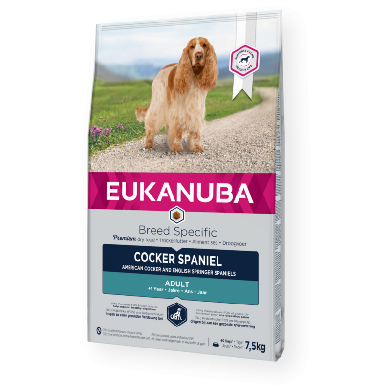 Eukanuba Cocker Spaniel