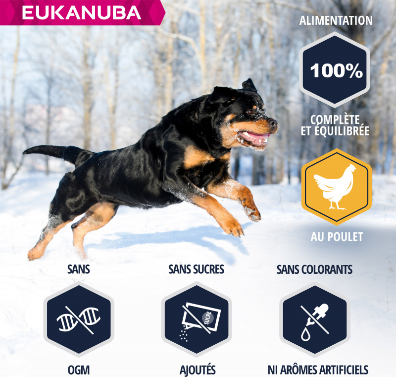 Eukanuba Breed Specific para a raça Rottweilers