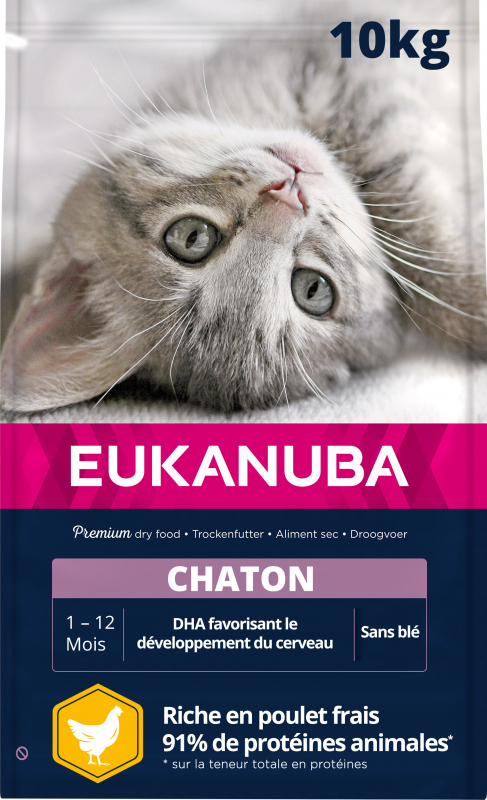 Eukanuba Kitten Healthy Start com Frango para gatinhos