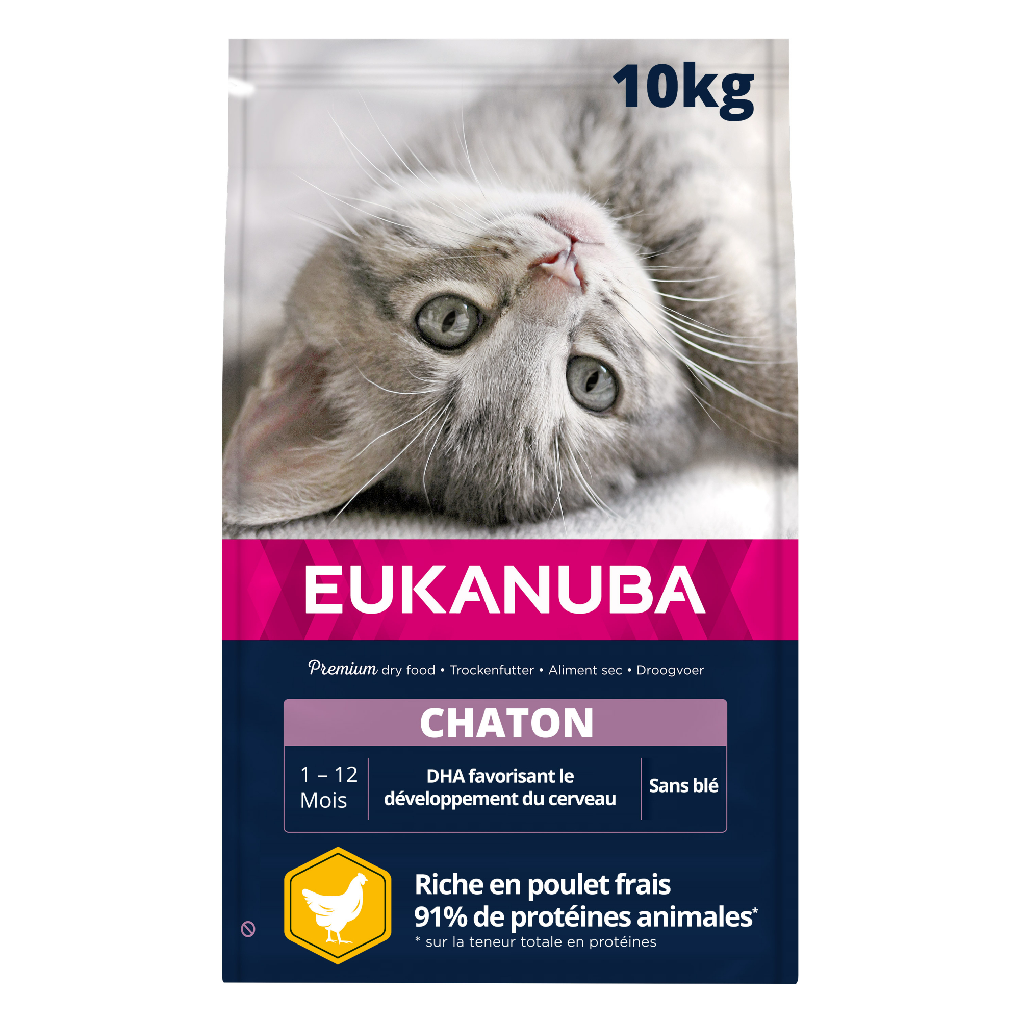 Eukanuba Kitten con pollo para gatito