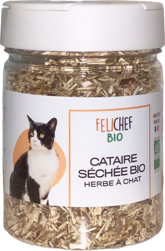 Herbe à chat séchée naturelle - cataire en poudre - Catedogshop