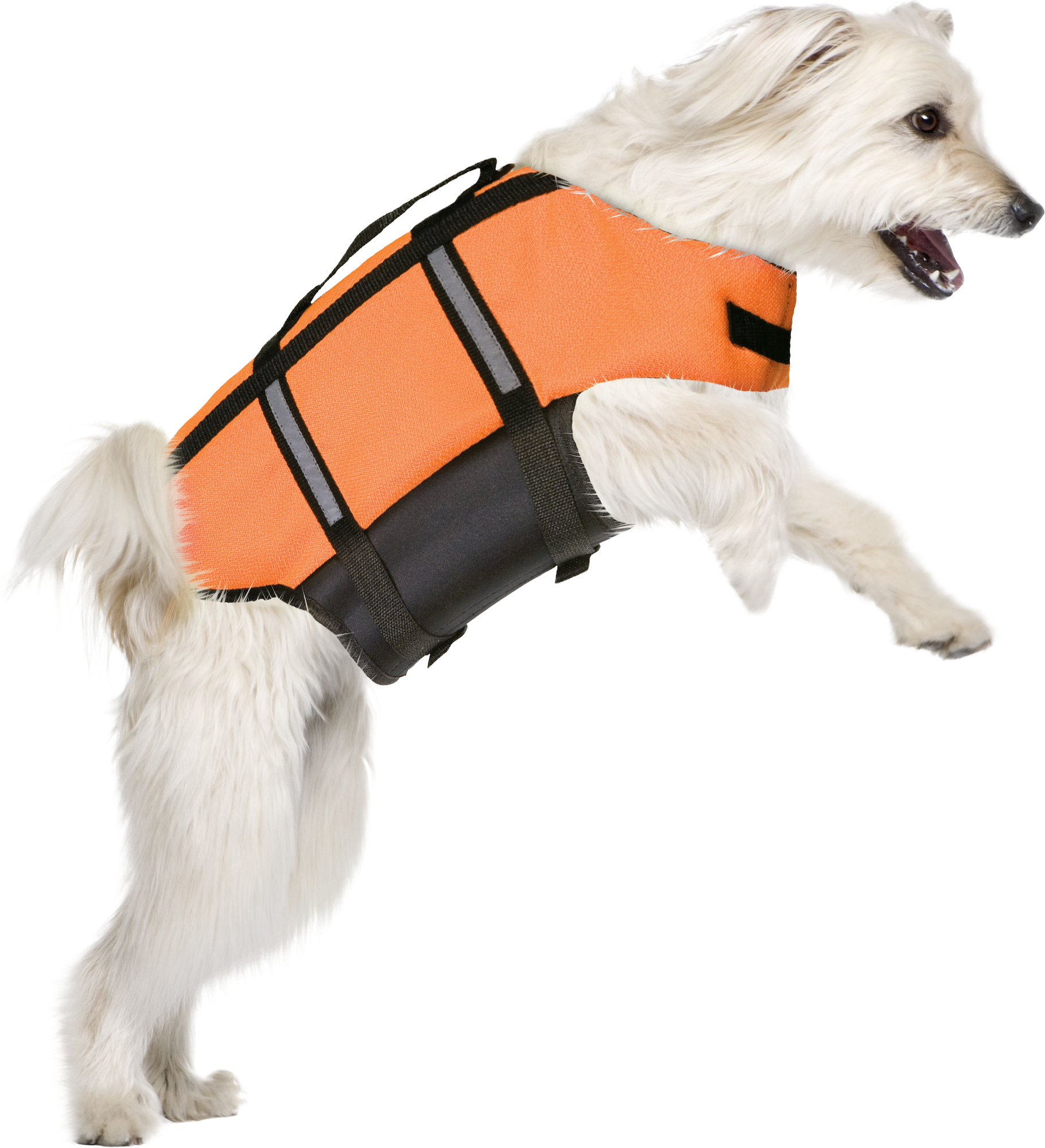 Colete salva-vidas para cão