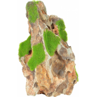 Roche naturelle Yellow stone Kipouss - 2 tailles disponibles