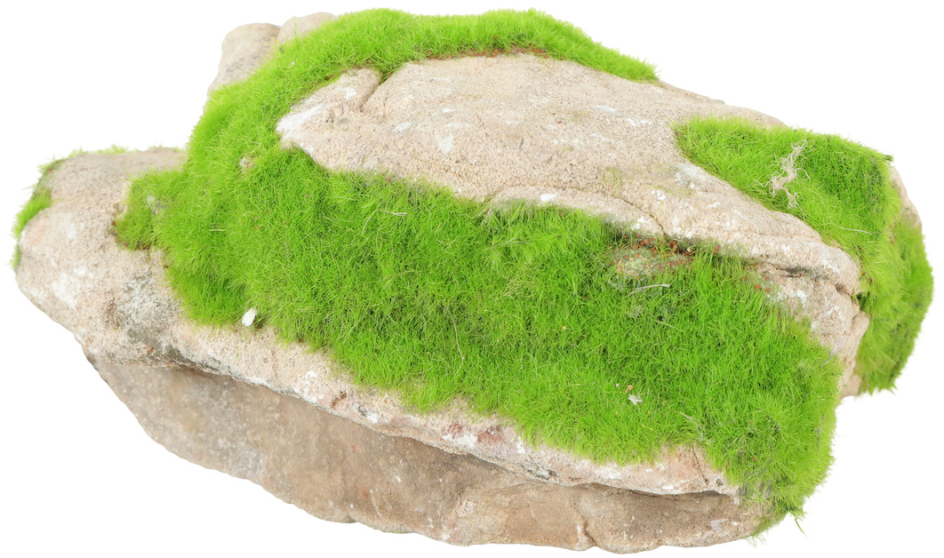 Roca natural Grey stone Kipus - 2 tamaños disponibles