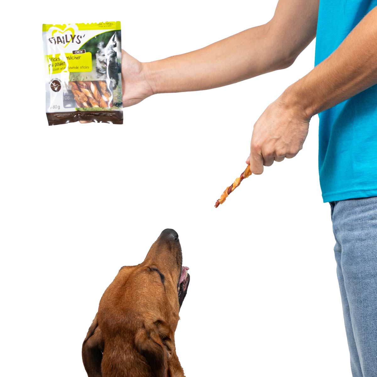 caractéristiques des sticks à macher pour chien dailys