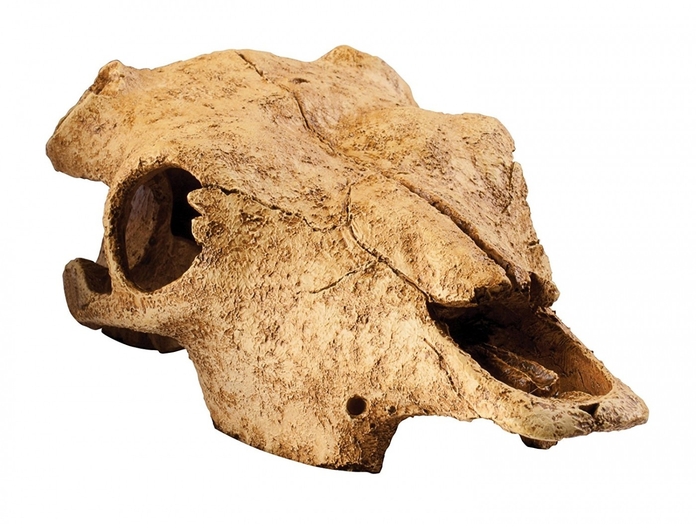 Decoración cráneo de búfalo Exo Terra