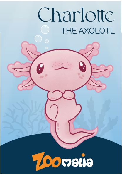 Ímã Charlotte the Axolotl - Zoomalia